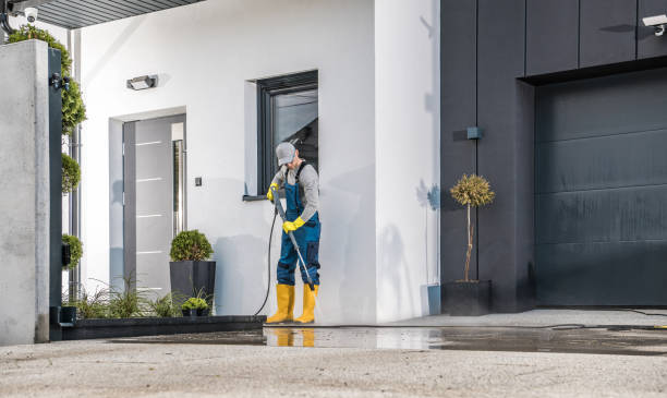 Best Graffiti Removal  in Elwood, IL